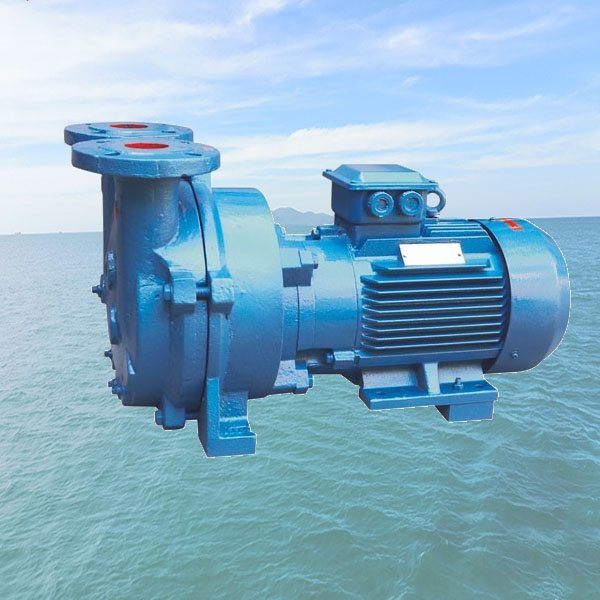 HVZ Liquid Ring Vacuum Pumps1.jpg